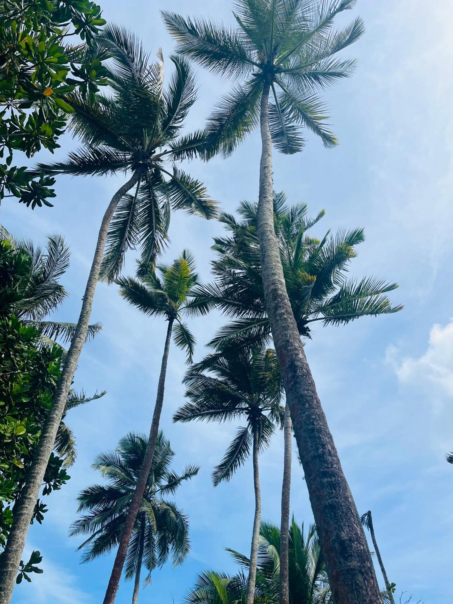 Esperanza Beach Mawella Тангалла Экстерьер фото